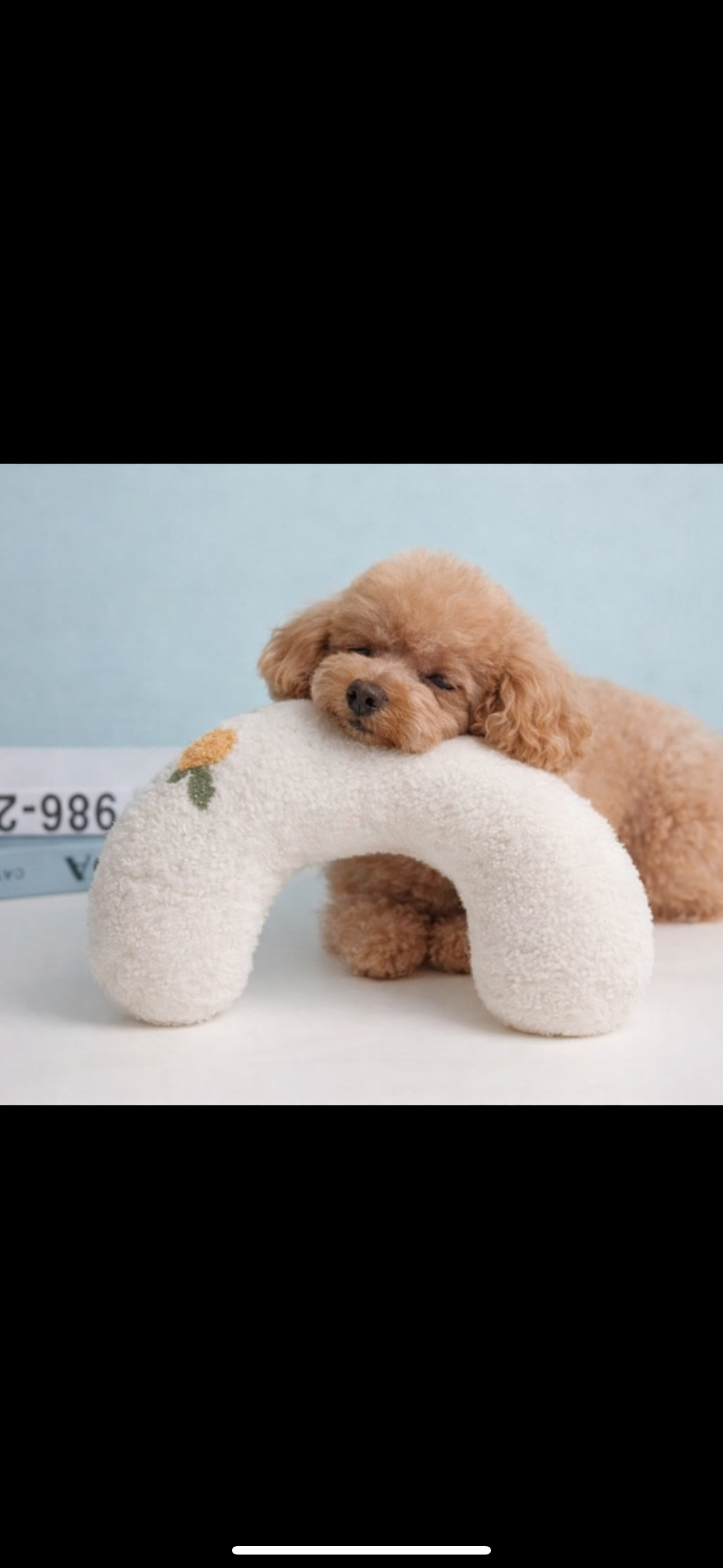 Calming Support Pet Pillow – Gentle Comfort for Everyday Rest